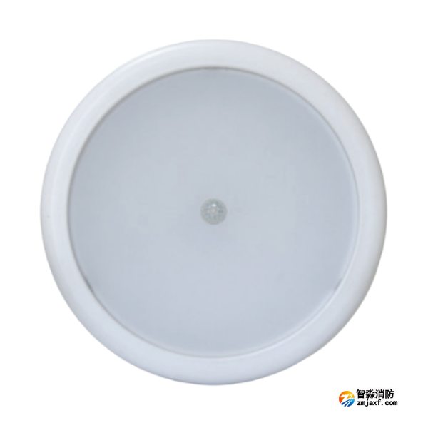 四川海灣HW-ZFJC-E6W-N656HW集中電源集中控制型消防應(yīng)急照明燈具