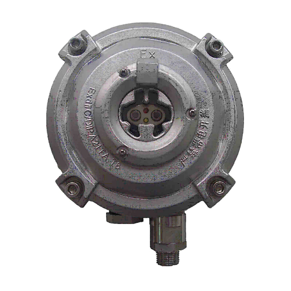 四川海灣D-9107R防爆點型紅外火焰探測器